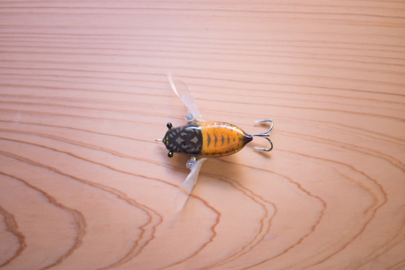 Nikko cicada